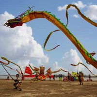 Chinese Fly Dragon Toys For Adults Fitness Dragon Dance Props Festival Party New Year Gifts Carnival Halloween Stage Performance
