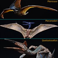 Jurassic Dinosaur Pterosaur Quetzalcoatlus Simulation Action Figures Model Toy for Kids Home Decoration Gift