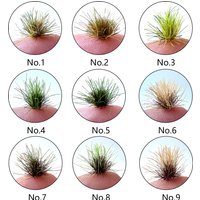 Micro Miniature Grass Cluster Model Sand Scene DIY Material Realistic Grass Tuft Miniature Grass Bushes Plant Cluster Scenery