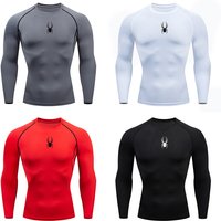Men's Long Sleeves Fitness T-shirt Gym Compression Dry Fit T-shirt Sportswear Spring And Autumn Outdoor Sports Running Tees Tops