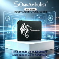 SomnAmbulist SSD for PC Laptop 128GB 240GB 480GB 960GB SATA3 2.5 Inch Internal Solid State Drive 256GB 512GB 1TB 2TB HD