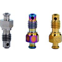 AliExpress TAIMEILI 2pcs Titanium alloy bolt for oil brake of bicycle XT / XTR exhaust oil drain screw