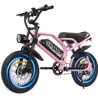 AVDL EU A13 16" elektrische fiets met dikke banden - 250W motor 36V 12,8Ah verwijderbare lithiumbatterij, 25 km/u off-road woon-werkfiets