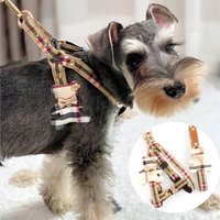 2pcs/set Pet Vest Lovely Collar , Dog Harness Leash Cat British Style Harness Dog Accessories ,Teddy Chihuahua Pets Supplies