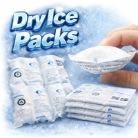 Shipping Dry Ice Packs Long Lasting Freezer Ice Packs Flexible Cold Ice Pack Sheet For Coolers Lunch Boxes Shipping Frozen Food
