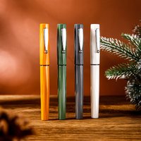PLATINUM Platinum Meteor Pen Winter Limited Edition Practice Writing