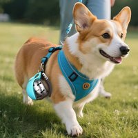 Foldable Pet Water Bottle Leak-proof Portable Dog Drinking Cup Outdoor Walking Stainless Steel Silicone Pet Supplies