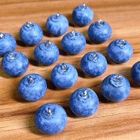 10Pcs 3D Resin Small Blueberry Pendant Charms Fruit DIY For Earring Necklace Keychain Jewelry Make Accessory Cute Craft Supplies