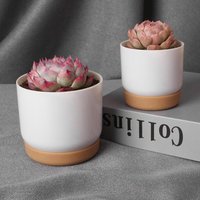 Succulent Plant Pot Double-layer Succulent Green Dill Small Green PlantFlowerpot