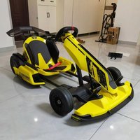 Ninebot High-Speed 4800W 432Wh 10-20Ah Battery Capacity Electric Go Karts for Adults Direct Factory Sale