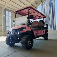 Golf Buggy Rapid Delivery Pink Electric Golf Cart Street Legal Chair Brown Leather With Headrest Off-Road Tires Bumper