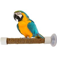 Suction Cup Bird Window And Shower Perch Toy For Parrot Macaw Cockatoo African For Grey Conure Parakeet Parrot bracket