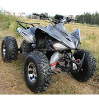 Sport ATVS Adult Electric Racing Motorcycle 4 Wheeled Motorcycle Electric dune Buggy Quadbikes Electric Quad Bike Adult 5000w