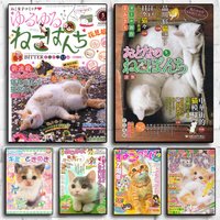 Cute Kitten Magazine Poster Modern Minimalist Wall Art Prints for Bedroom Living Room Home Decor Interior Gift
