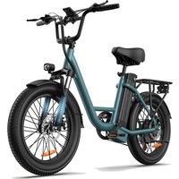 AliExpress 250W Motor Commute Electric Bicycle URLIFE E20 48V 13Ah Battery Adult E-Bike 20-inch Fat Tire City Bike