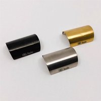 H&H studio titanium sticker for brompton rear frame protection compatible with Aline Cline Pline Tline.