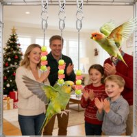 Parrot Stainless Steel Fruit Fork Toy Bird Cage Supplies Fruit Insert Feeder Parrot Stable suspension Accessories Bird Supplies
