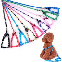 Small Dog Leash Puppy Leashes Teddy Pet Leash and Harness Set Cute Lead Rope Set Cat Kitten Leash Pet Things Decoration