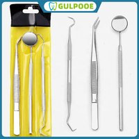 GULPOOE 3pcs Stainless Steel Dental Tool Set Dental Oral Caredental Equipment Cleaning Calculus Remover Tooth Stains And Tartar