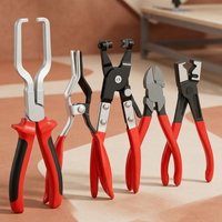 Hose Clamp Pliers Professional- Fuel Line Removal and Disconnection Tool Kit for Auto Repair
