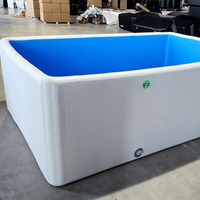 Family-Friendly Customizable Inflatable Pools for and Adults Backyard Swim Ponds