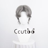 Anime Hayato Gokudera Cosplay Perücke 33 cm Grau Kurze Perücken Hitzebeständige Synthetische Haar