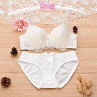 Sexy Dessous Set Spitze Blume bequeme weiche Bügel Push-up-BH und Höschen ab Cupzweiteilige Mode intim iert koreanischen Stil