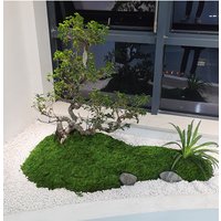 Artificial moss filaments moss lawn people fake moss do not fade DIY scene layout