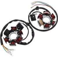Stator de volant magnétique à 6 Végét, 1 pièce, pour 50cc, 70cc, 90cc, 110cc, 125cc, façades PIT, D343 Bike RL Bumosquito