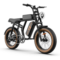 AliExpress Electric Bike URLIFE T2 500W Motor 48V15.6AH Battery Adult Travel Electric Bicycle 20*4 In All Terrain Off-Road Fat Tire E-bike