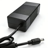 Amplifier GaN Power Adapter 48V 5A AC100-240V Switching Supply for TPA3255 TAS5630 Sound AMP - EU/US/AU/UK Plug