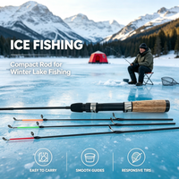 Canne à pêche sur glace avec poignée à 3 embouts, Mini canne télescopique Portable pour la pêche sur glace, matériel de pêche