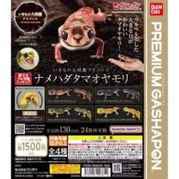 Original Biological Encyclopedia Gacha Toys House Lizard Simulation Model Ornaments Joint Mobility Action Figure Toys