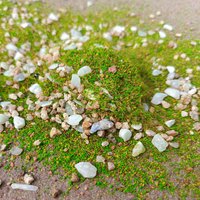 10G/30G Miniature Grass Powder Weed Soil Mix Stone Model Artificial Plant DIY Railway Train Military Garden Scene Diorama Kit