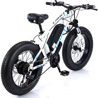 20 Inch Electric Bikes Ebike Bicycles 350W 36V High Carbon Steel Fat Tire E Mountain Bike for Adults