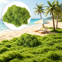 Simulated Moss Filamentous High-Quality Texture Artificial Simulated Lawn Green Plants Potted Plants Micro Landscape Outdoor