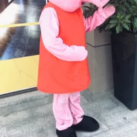 2028 High Quality Red Blue sexy adult pig cartoon character mascot costumes with red dress for kids events