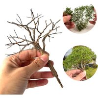 DIY Model Tree Trunk 15cm/18cm Artificial Making Tree Grass Leaves Materials For Building Architectural Micro Landscape 1PCS