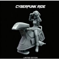 Super Rare, Cast Resin Model Kit, Motorcycle Girl, Character Model, Needs To Be Assembled, (85mmx55mm)