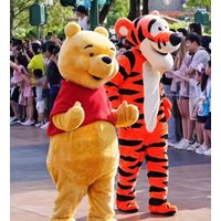 Cosplay Disney Winnie the Pooh Bär Tigger Maskottchen Kostüm Anime Donald Duck Lustige urkomische Erwachsene Anzüge Party Erwachsene Kostüm