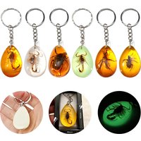 Random 1Pcs Amber Key Chain Insect Specimen Chain Pendant Scorpion Scarab Seven Star Ladybug Wasp Butterfly Car Key Ring