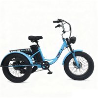 2026 China Factory New Design Wholesale Price Open Body 1000W Three Wheel Electric Tricycle for Adults
