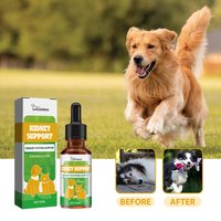 Pet Kidney System Function Improvement Nutritional Supplement - Enhances Energy and Vitality Cats and Dogs Nutritional Care Pets