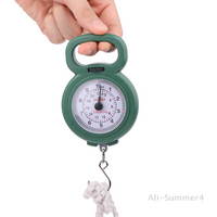 Mini Pointers Hook Spring Hanging Scale Portable Fishing Scale 10kg Capacity Food Digital Scale Luggage Scale Weighing Scales