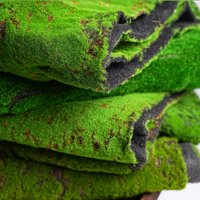 Artificial Turf Moss Grassland Fake Grass Simulation Muscus Lawns Synthetic Grass Wall Decor Outdoor Ornament Garden Decoration