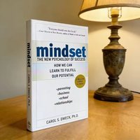 Mindset The New Psychology Of Success English Book by Carol S. Dweck Foreign Literature Inspirational Book