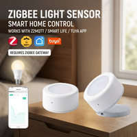 ZigBee Light Sensor Illumination Brightness Detector Illuminance LUX Tracking Home Automation With Smart Life TUYA Z2M Linkage