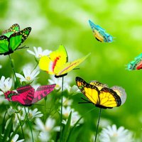5-30Pcs Butterflies Garden Yard Planter Colorful Whimsical Butterfly Stakes Decoracion Outdoor Decor Flower Pots Decoration