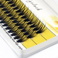 20D/30D Nerz-Wimpern-Cluster 1 Box/60 Bündel Russische Natürliche Wimpern 3D Einzelwimpernverlängerung Wimpern Make-up Großhandel