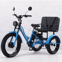 AliExpress NONE New Cargo Family Electric Bike 3 Seater For Adults With Back Seat All Terrain 750W 48V Elderly Electric Tricycle With Passengers